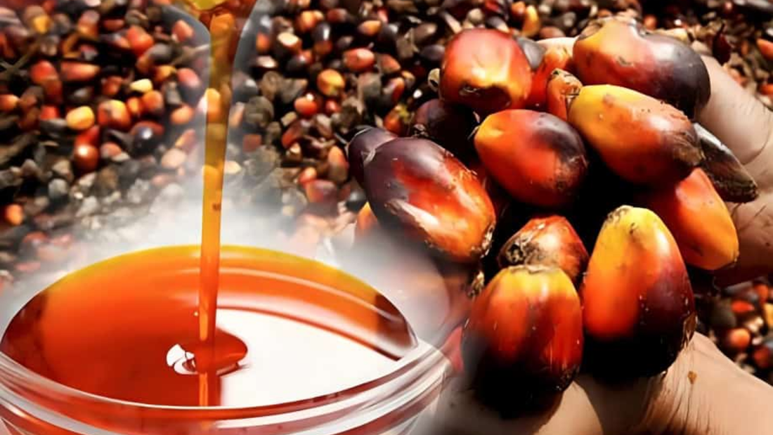 What we have missed? Malaysia red palm oil
