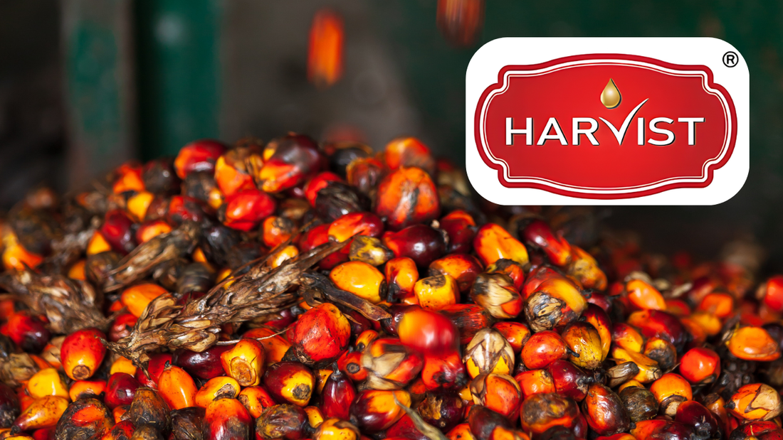 It's finally here! Harvist infused red palm oil