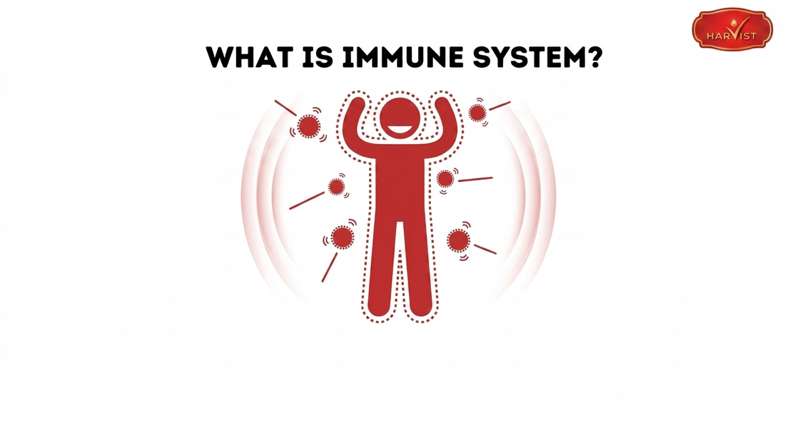 June Health Topic - Immune System